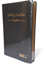 Load image into Gallery viewer, Telugu Holy Bible Crown Vinyl Compact edition,