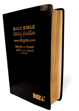 Load image into Gallery viewer, Bilingual Holy Bible, English and Telugu Diglot Leather/Hardcover