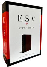 Load image into Gallery viewer, ESV Study Bible,(TruTone, Brown/Cordovan, Portfolio Design): English Standard Version, Brown/Cordovan, Trutone, Portfolio Design Imitation Leather