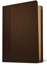 Load image into Gallery viewer, NLT Life Application Study Bible, Third Edition (Leatherlike, Dark Brown/Brown) Imitation Leather