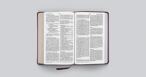 ESV Large Print Thinline Bible: Esv Thinline Bible Trutone, Mahogany Imitation Leather – Import,
