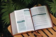 Load image into Gallery viewer, ROOTED NIV BIB FOR MEN: Rooted: the Niv Bible for Men, Brown, Comfort Print Imitation Leather