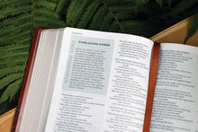 Load image into Gallery viewer, ROOTED NIV BIB FOR MEN: Rooted: the Niv Bible for Men, Brown, Comfort Print Imitation Leather
