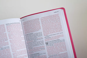 Clearance sale 2024! NLT Tyndale Help Finder Bible, Pink: God's Word at Your Point of Need Imitation Leather