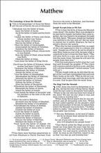 Load image into Gallery viewer, Outreach New Testament: New International Version, Green Forest Path Paperback – Special Edition