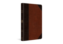 Load image into Gallery viewer, ESV Thinline Bible - Brown/Cordovan