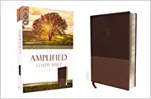 Load image into Gallery viewer, The Amplified Study Bible, Leathersoft/ Hardcover, Brown Imitation Leather