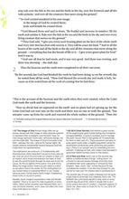 Load image into Gallery viewer, New International Version (NIV), God's Justice Bible: The Flourishing of Creation and the Destruction of Evil