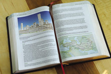 Load image into Gallery viewer, Biblical Theology Study Bible: New International Version, Burgundy, Bonded Leather, Comfort Print; Follow Gods Redemptive Plan As It Unfolds Throughout Scripture Bonded Leather – Illustrated,