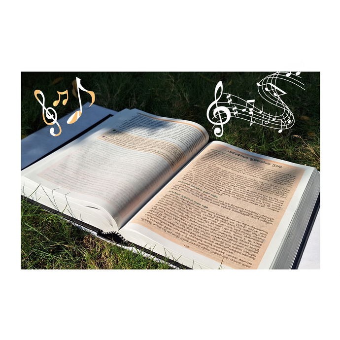 Discovering the Music and Poetry in the Bible: Harmonies of Holiness