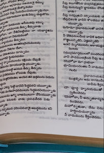Telugu Holy Bible, korean print Regular Size Green Leather Like Indexed.