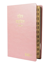 Load image into Gallery viewer, Hindi Bible Dy PU Light Pink with Thumb Index (TI) &amp; Gilt Edges | Amity Edition | Stylish Devotional Bible
