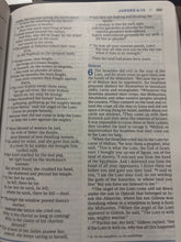 Load image into Gallery viewer, Clearance sale 2026 NIV, Essentials Study Bible, Leathersoft, Pink: Easily Grasp the Fundamentals of Scripture
