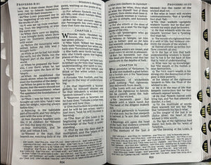 KJV, Personal Size Large Print Reference Bible, Vintage Series, Leathersoft, Black, Red Letter, Comfort Print: Holy Bible, King James Version Imitation Leather – Import