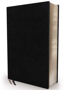 NIV Biblical Theology Study Bible: New International Version, Biblical Theology Study Bible, Black, Bonded Leather, Comfort Print; Follow God s Redemptive Plan As It Unfolds Throughout Scripture Bonded Leather