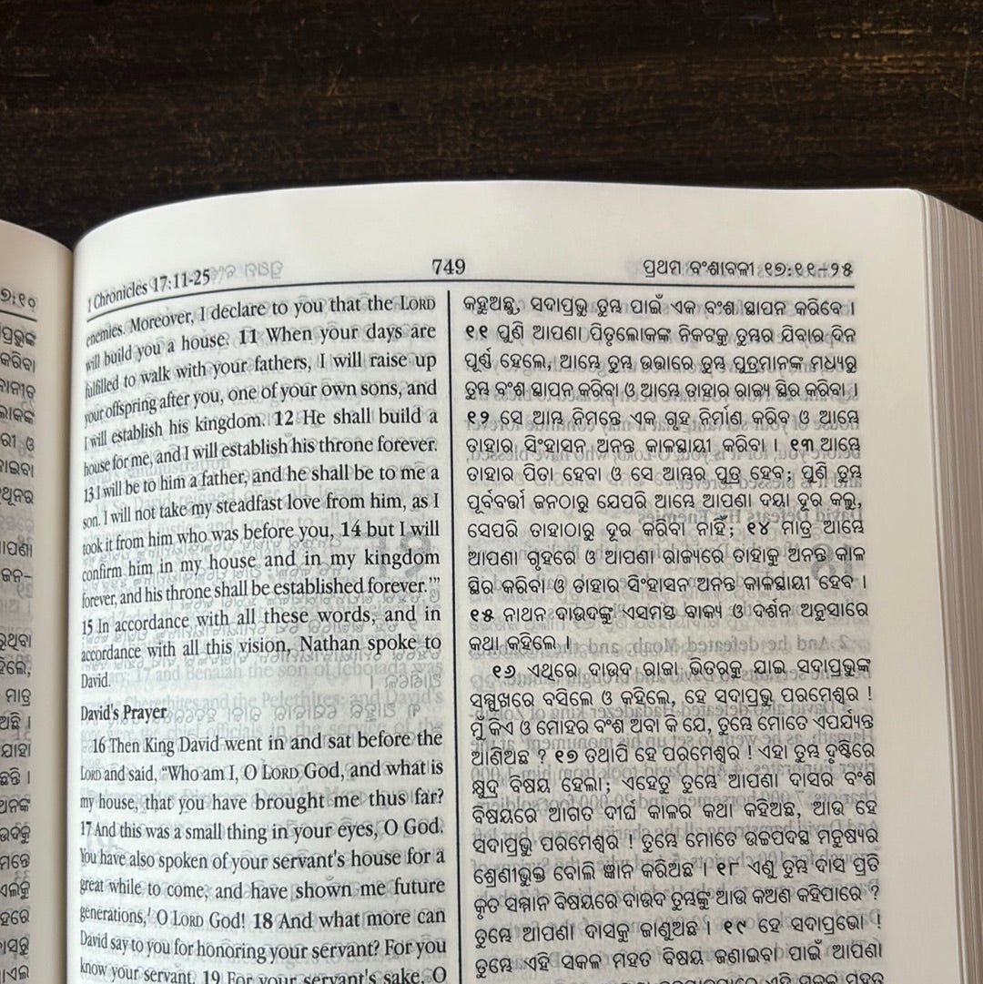 Bilingual Holy Bible, English and Odia (OV) re-edited Diglot Royal PU ...