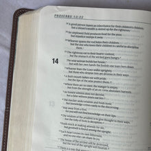 Load image into Gallery viewer, Clearance sale 2024! Life Application Study Bible: New International Version, Caramel / Dark Caramel, Italian Duo-Tone Imitation Leather
