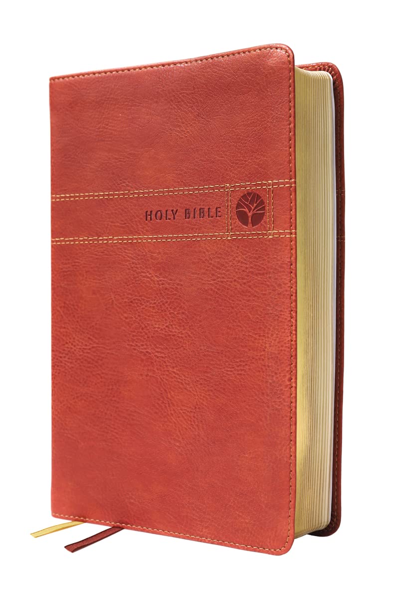 Niv, Men's Devotional Bible, Leathersoft, Brown, Comfort Print: New International Version, Brown, Leathersoft, Men's Devotional, Comfort Print Imitation Leather import