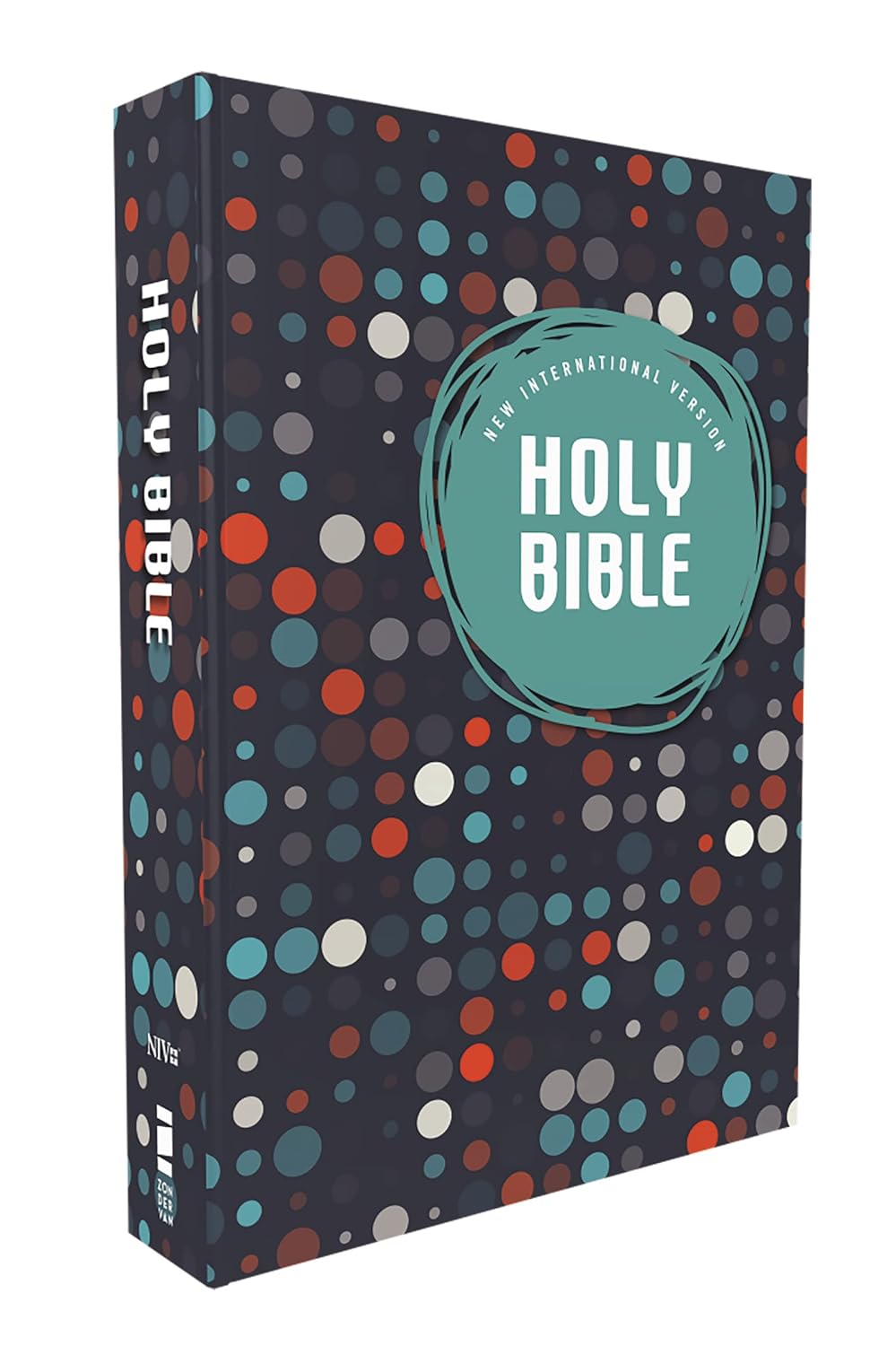 Holy Bible: New International Version Outreach Bible for Kids Paperback – Large Print