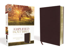 Load image into Gallery viewer, Amplified Holy Bible, Bonded Leather, Black/Burgundy: Captures the Full Meaning Behind the Original Greek and Hebrew Bonded Leather
