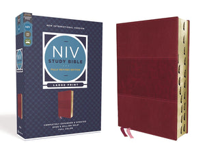 Holy Bible: New International Version, Leathersoft, Comfort Print, Reference (NIV Study Bible, Fully Revised Edition) Imitation Leather – Import