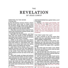 Load image into Gallery viewer, KJV, Thinline Bible, Large Print, Leathersoft, Brown, Red Letter, Comfort Print Imitation Leather
