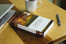 Load image into Gallery viewer, AMPLIFIED HOLY BIBLE SC Paperback
