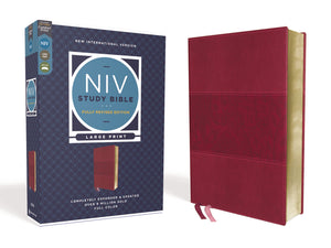NIV Study Bible: New International Version, Burgundy, Leathersoft, Comfort Print (NIV Study Bible, Fully Revised Edition) Imitation Leather – Import,