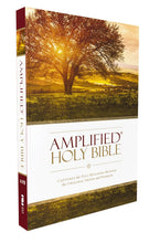 Load image into Gallery viewer, AMPLIFIED HOLY BIBLE SC Paperback
