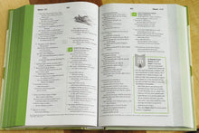 Load image into Gallery viewer, Clearance sale 2026, Nrsv, The Guidebook: The NRSV Student Bible by Harper Bibles (Author)  Format: Hardcover
