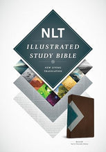 Load image into Gallery viewer, Clearance sale 2026, Illustrated Study Bible: New Living Translation, Teal &amp; Chocolate Edition by Tyndale (Author)  Format: Imitation Leather
