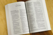 Load image into Gallery viewer, AMPLIFIED HOLY BIBLE SC Paperback
