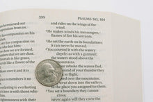 Load image into Gallery viewer, Clearance sale 2026, NIV: New International Version,  Paperback
