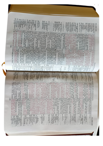 KJV, Thompson Chain-Reference Bible, Handy Size, Leathersoft, Brown, Red Letter: King James Version, Brown, Leather soft, Red Letter, Handy Size Imitation Leather – Import,