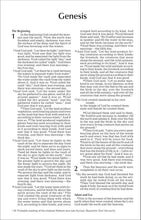 Load image into Gallery viewer, Holy Bible: New International Version, Blue Pier Paperback
