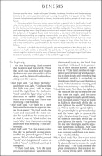 Load image into Gallery viewer, Clearance sale 2026, NIV: New International Version,  Paperback
