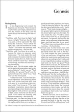 Load image into Gallery viewer, NIV Outreach Bible – Large Print | Low-Cost Evangelism Bible for Churches &amp; Ministries | Paperback | 10.5-Point Type
