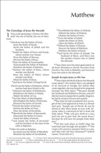 Load image into Gallery viewer, NIV, Outreach New Testament, Large Print, Paperback Paperback – Large Print
