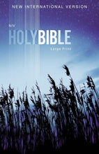 Load image into Gallery viewer, Outreach Bible-NIV Paperback – Large print
