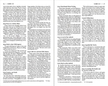 Load image into Gallery viewer, Holy Bible: New International Version, Pink Leather-Look, Tiny Testament, Complete New Testament by Zonderkidz (Author)  Format: Imitation Leather
