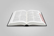 Load image into Gallery viewer, Hindi Bible Dy PU Light Pink with Thumb Index (TI) &amp; Gilt Edges | Amity Edition | Stylish Devotional Bible
