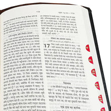 Load image into Gallery viewer, Hindi Bible Dy PU Light Brown with Thumb Index (TI) &amp; Gilt Edges | Amity Edition | Classic Durable Devotional Bible
