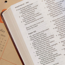 Load image into Gallery viewer, Clearance sale 2026, Holy Bible: New King James Version, Reference Bible, Brown, Super Giant Print, Leathersoft, Thumb Indexed, Red Letter Edition, Comfort Print by Thomas Nelson (Author)  Format: Imitation Leather
