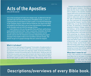 Christian Basics Bible, Indexed Hardcover, New Living Translation (NLT)