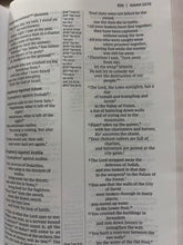 Load image into Gallery viewer, Clearance Sale 2026, NIV, Thinline Reference Bible, Cloth over Board, Blue/Tan, Red Letter, Comfort Print
