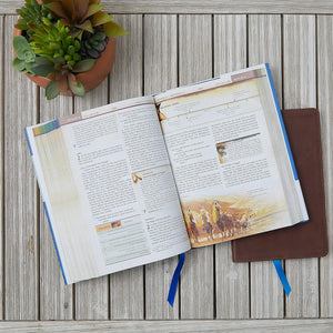 Holy Bible: New International Version, Black, Leathersoft, Chronological Study, Comfort Print Imitation Leather – Import