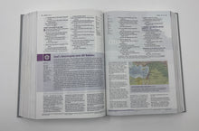 Load image into Gallery viewer, NLT Illustrated Study Bible, Deluxe Linen, Slate Grey Product Bundle – Illustrated,

