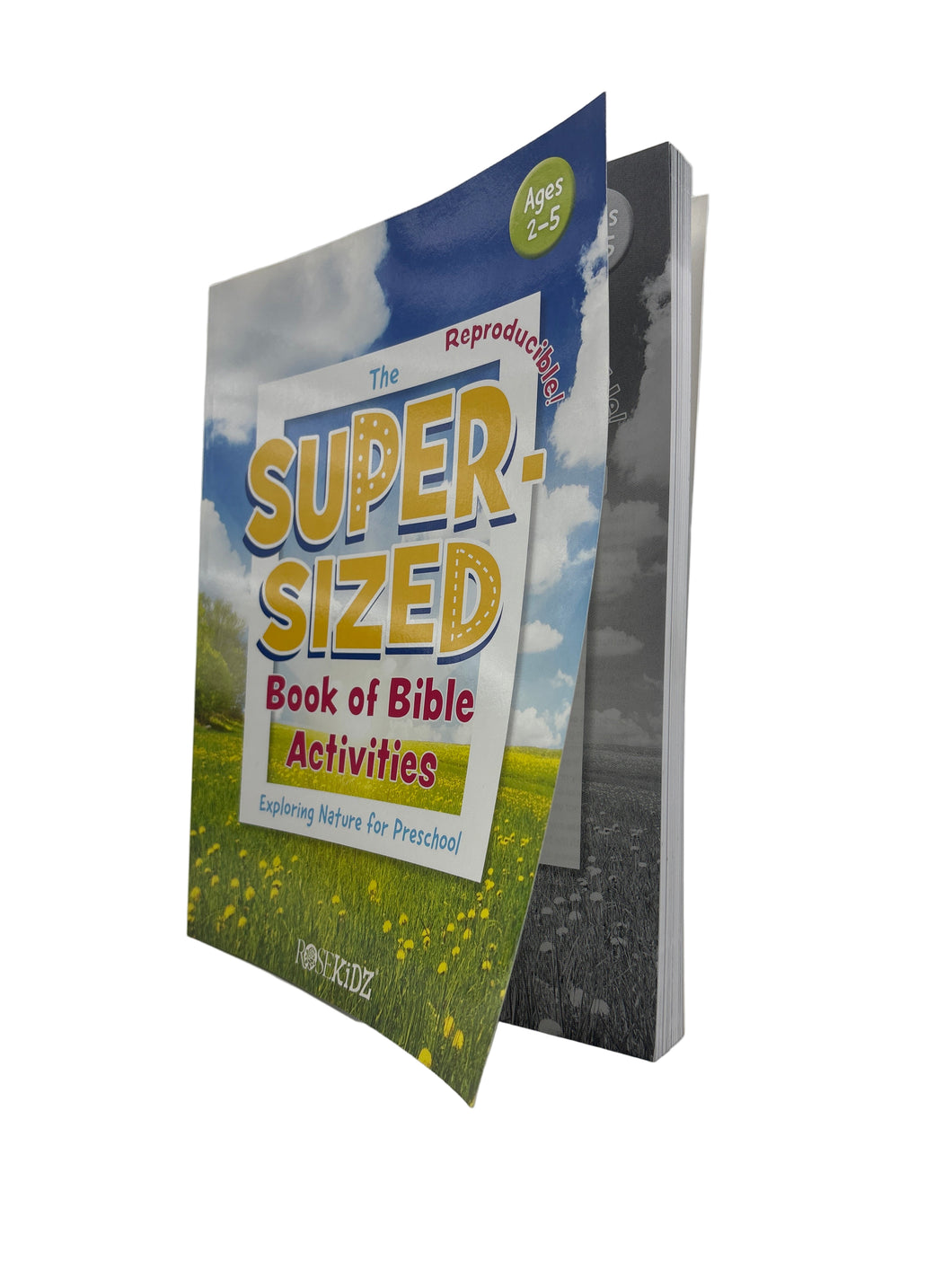 The Super-Sized Book of Bible Activities Paperback