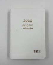 Load image into Gallery viewer, Telugu Holy Bible Compact edition, PU, Leather Look, Indexed.
