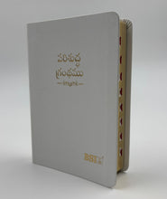 Load image into Gallery viewer, Telugu Holy Bible Compact edition, PU, Leather Look, Indexed.

